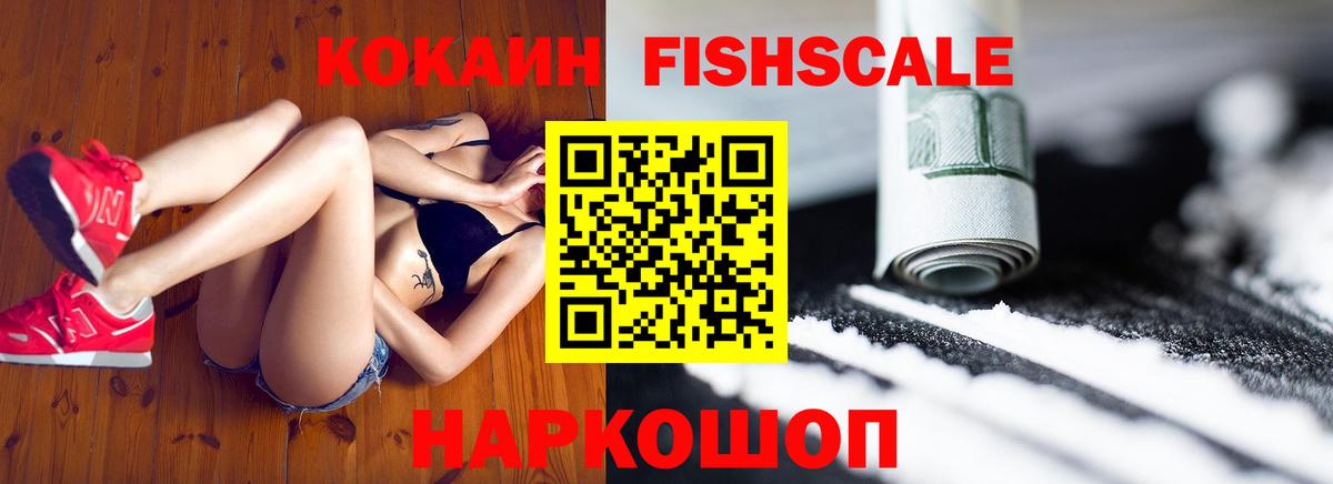Cocaine Fish Scale  Вход с VPN  Тюмень 