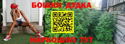 трава Лесосибирск